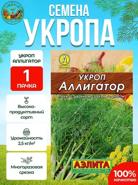 Семена укропа на посадку Аллигатор