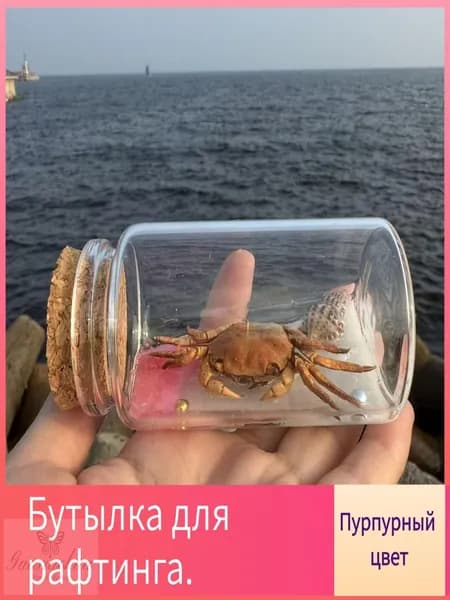 Морской сувенир краб натуральный в стеклянной бутылке
