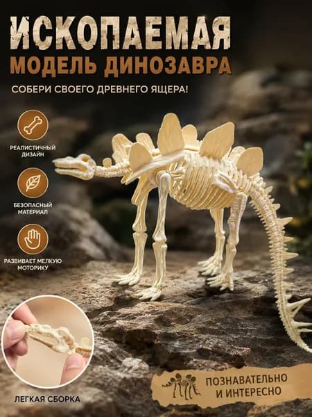 Ископаемая Модель Динозавра