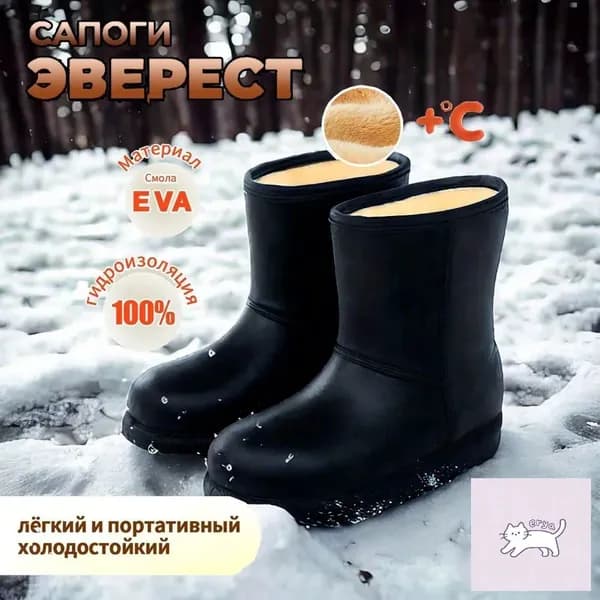 Сапоги