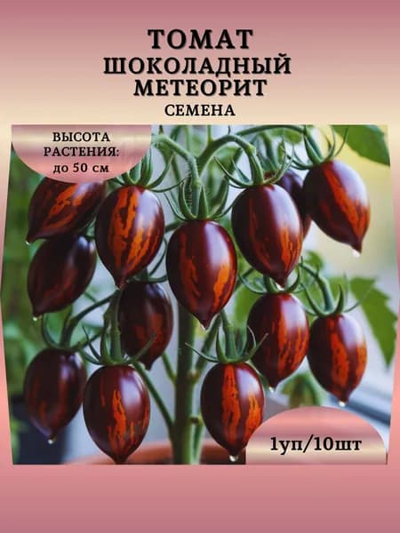 Томат "Шоколадный Метеорит" семена, 1 пачка