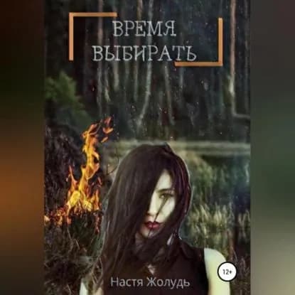 Время выбирать | Жолудь Настя | Электронная аудиокнига