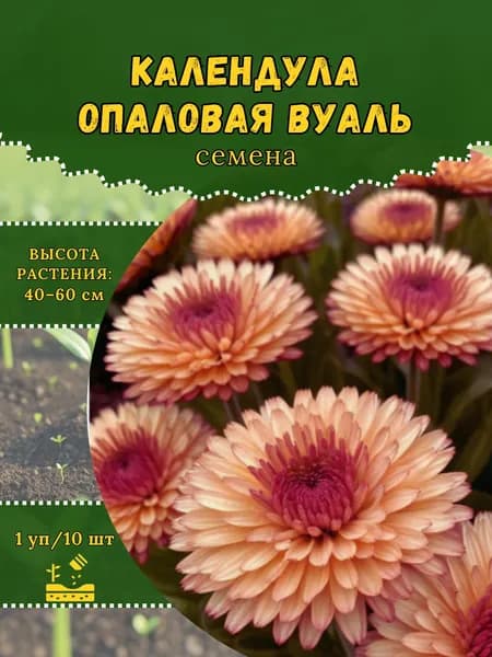 Календула "Опаловая Вуаль" семена, 1 пачка