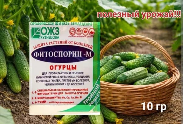 Удобрение