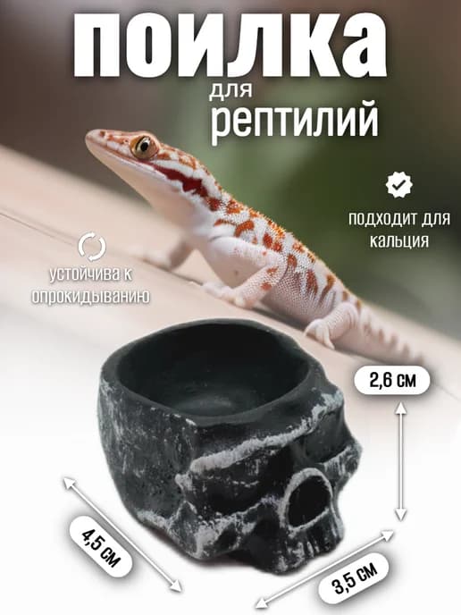 Кормушка-поилка для рептилий и насекомых