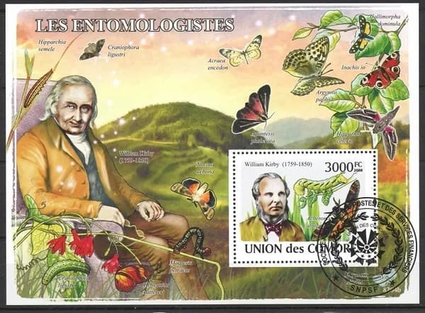 Коморские острова Гашеный блок марок "Энтомологи" 2008 год
