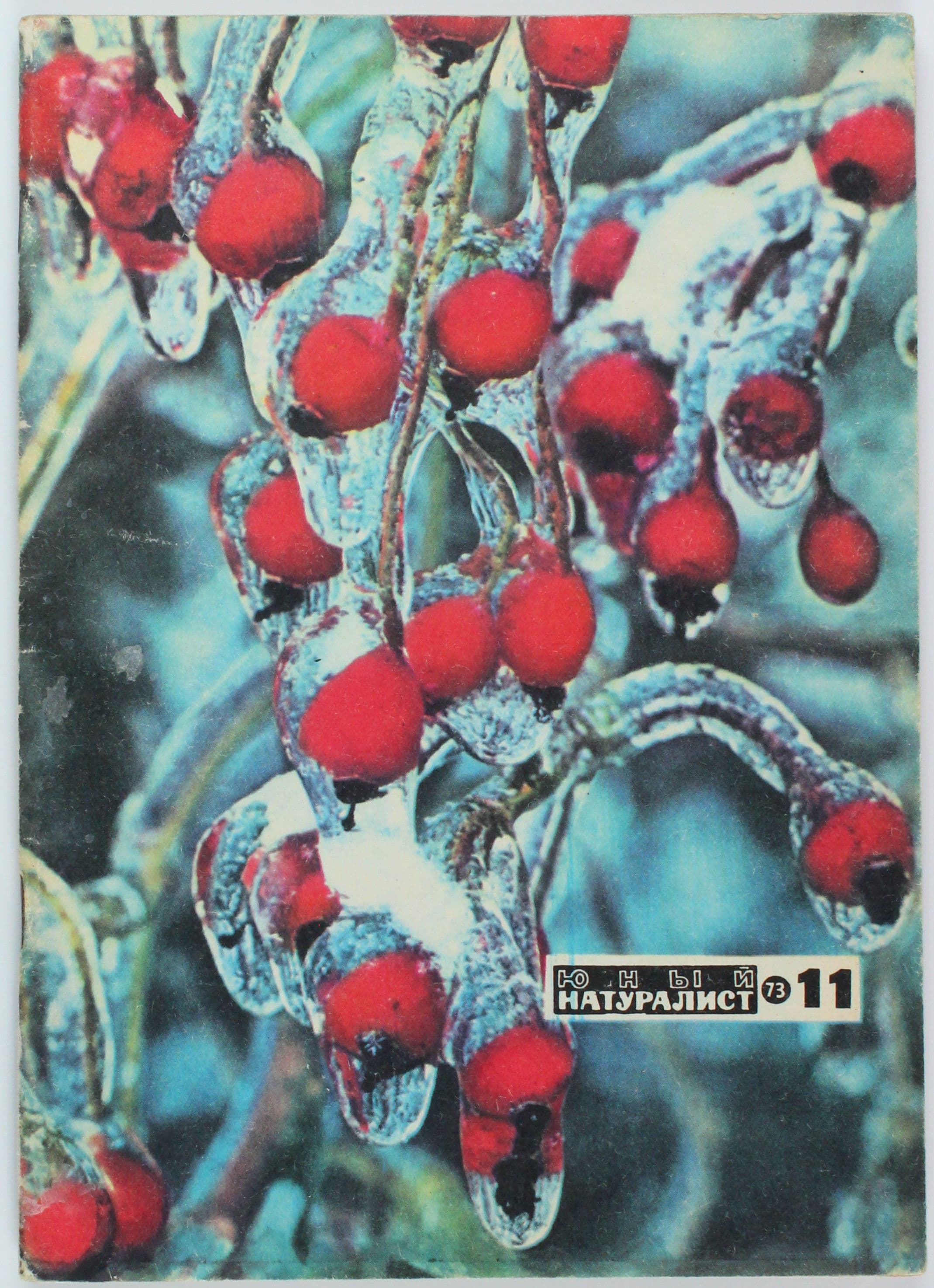 Винтажный журнал СССР Юный Натуралист, 1973 год
