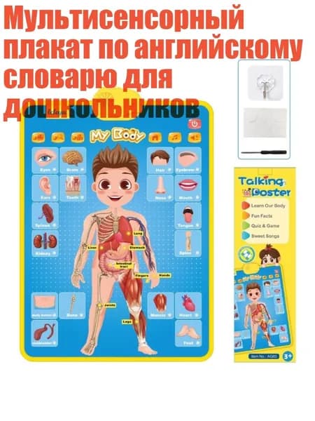 Настенная карта