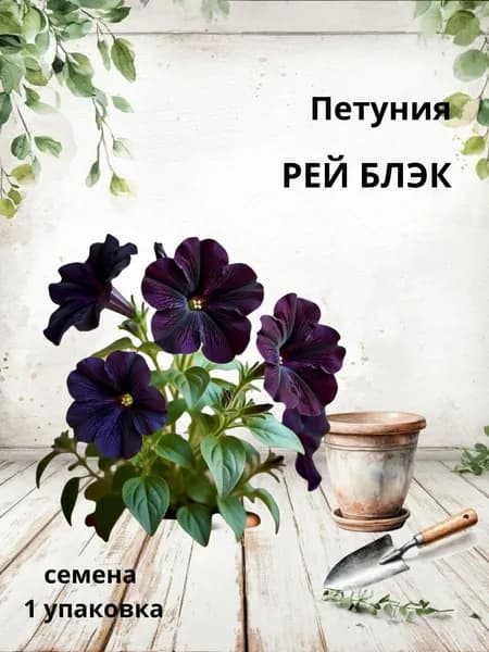 Петуния Рей Блэк, семена 10 шт.