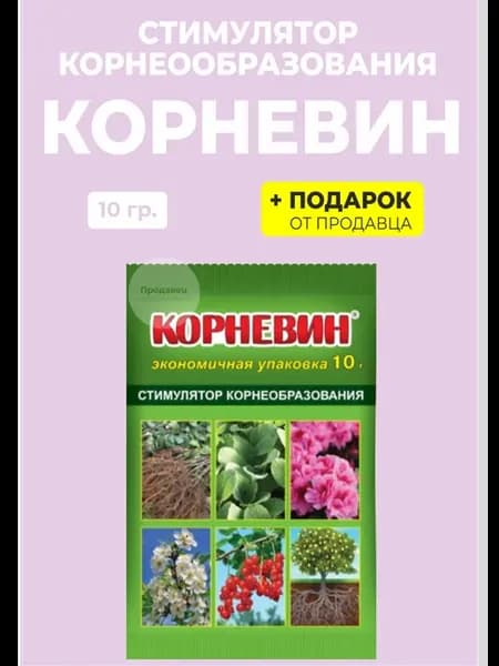 Стимулятор роста Корневин 10 гр. зеленый