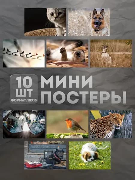 Мини постеры (набор) «Животные» 10 шт
