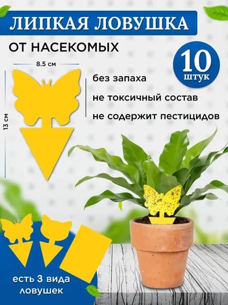 Клеевая ловушка для комнатных растений и деревьев, от мушек черных и белых, дрозофил и тд.10шт.