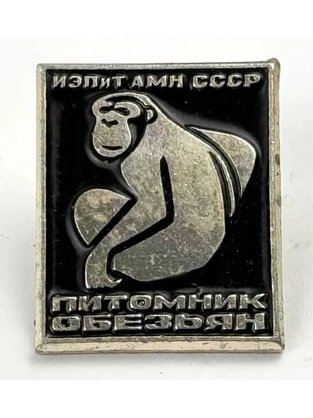 Винтажный, антикварный советский значок СССР