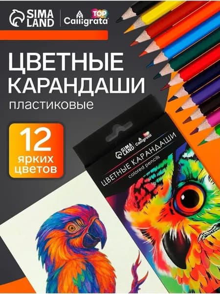 Карандаши цветные мягкие Calligrata для рисования 12 цветов