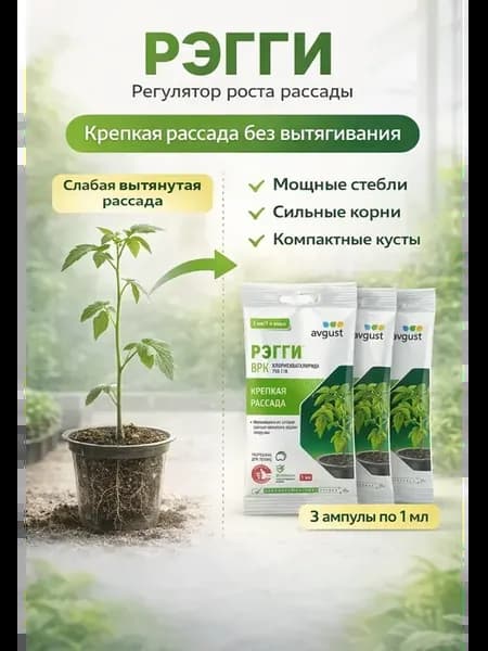 Регулятор роста рассады от вытягивания 3 ампулы по 1 мл
