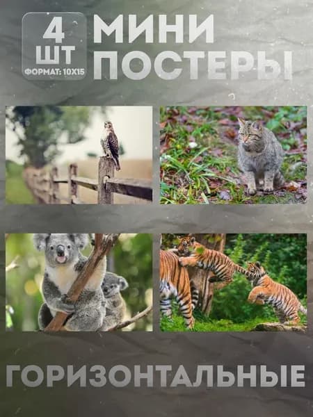 Мини постеры 10 на 15 (набор) «Животные» 4 шт