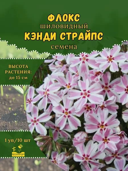 Флокс "Кэнди Страйпс" семена, 1 пачка