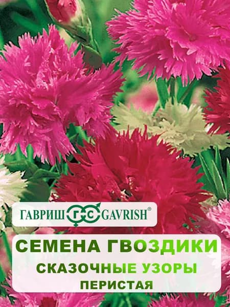 Семена Гвоздики перистая "Сказочные узоры" махровая смесь 0,1 гр.