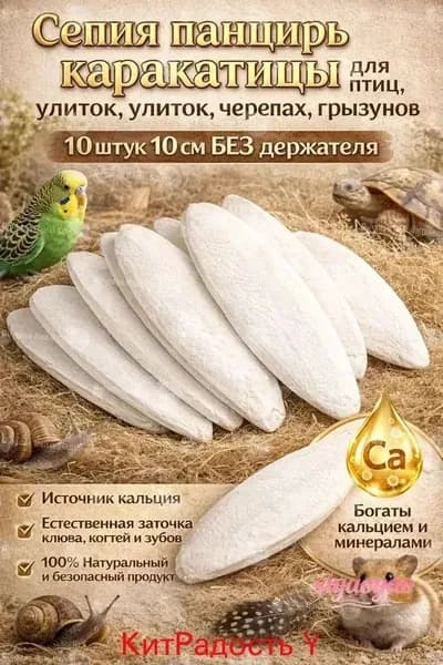 Сепия панцирь каракатицы для птиц, улиток, черепах, грызунов, 1 банка: 12 штуки 7-10 см БЕЗ держателя