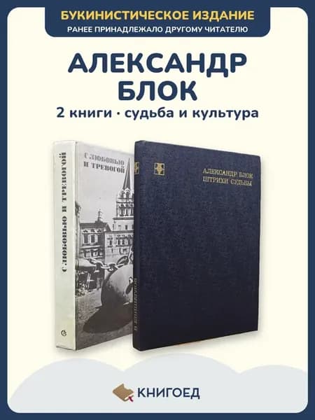 Александр Блок биография культура Енишерлов 2 книги