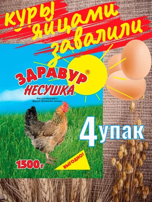 Витамины для кур несушек для яйценоскости Здравур