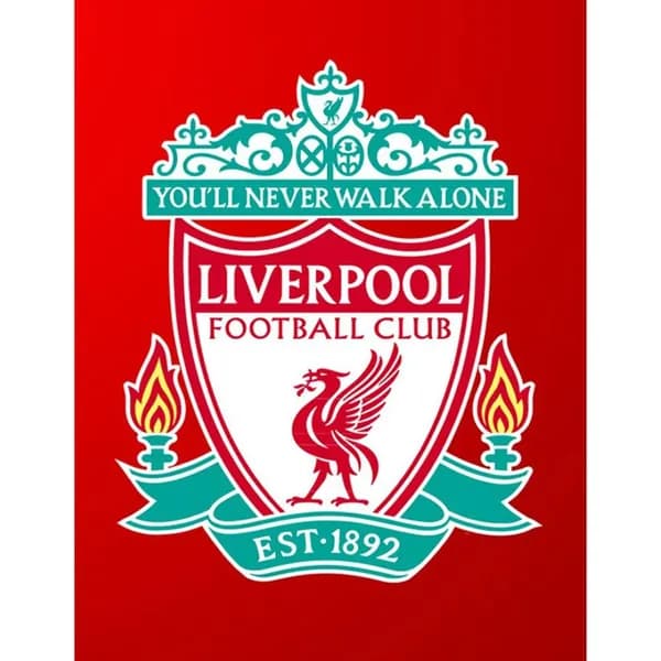 Диамантная вышивка Liverpool с абстрактной эмблемой, 30 40 см