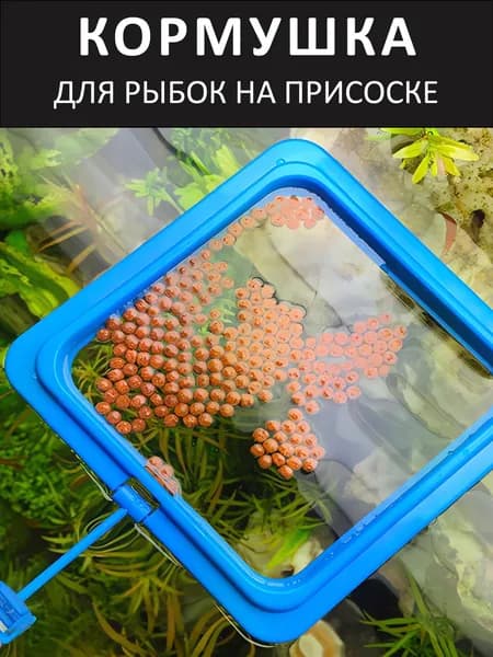 Кормушка для аквариумных рыбок на присоске 10х10см