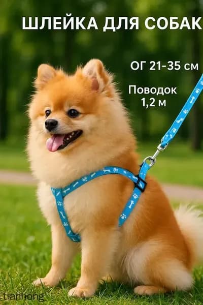 Шлейка для собак мелких пород, ОГ 21-35 см, поводок 120 х см, , голубой
