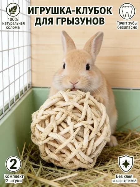 Травяной шар для грызунов 2 шт., игрушка-лакомство из тимофеевки, шар для сточки зубов, натуральная погрызушка для кролика и морской свинки, сено
