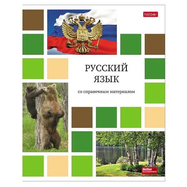Тетрадь предметная русский язык 48 листов Цветная мозаика в линию