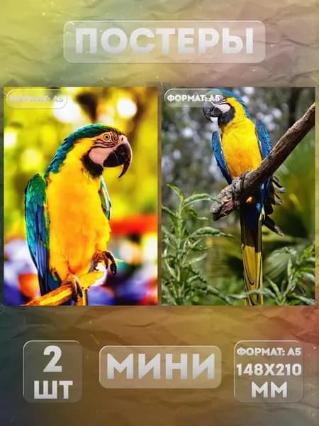 Постеры Мини на стену А5 «Попугай» 2 шт