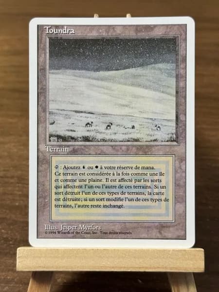 Заголовок: Волшебство в твоих руках: Уникальная карта Magic: The Gathering (MTG) с защитным протектором в подарок!