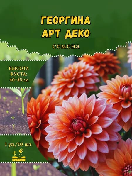 Георгина "Арт Деко" семена, 1 пачка