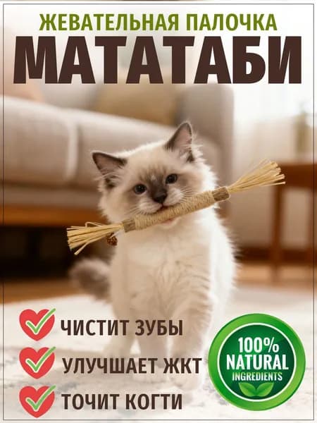 Палка мататаби с джутовой верёвкой и натуральным плодом жевательная антистресс-игрушка для кошек и котят, уход за зубами и дёснами, чистка зубов и спокойствие питомца без химии