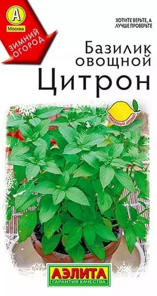 Семена Базилик овощной Цитрон (0,2г). Лимонный базилик для выращивания в горшке. Густой куст с ароматными побегами, для свежих салатов и сушки