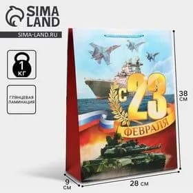 Пакет подарочный L 28х38х9 см, ламинированный.