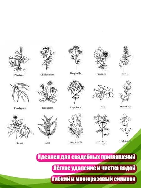 Силиконовый штамп Цветы и листья , Прозрачный