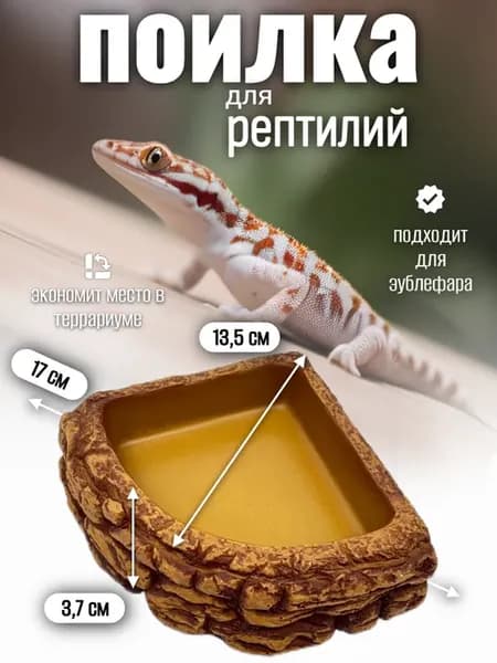 Кормушка поилка для рептилий угловая