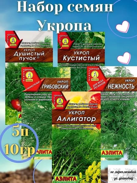 Аэлита Семена ,5шт