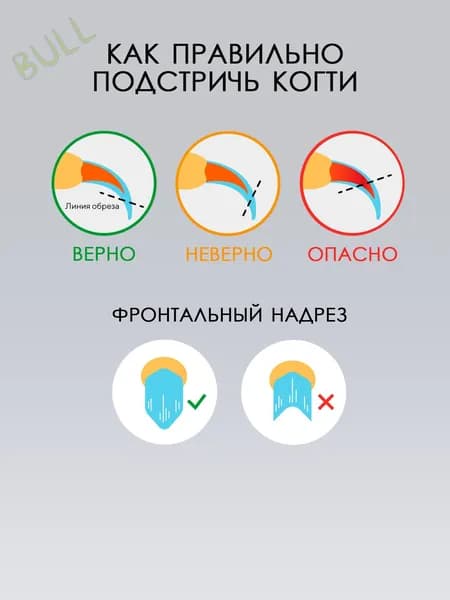 Когтерезка для кошек и собак мелких и средних пород, 14 см. Ножницы для домашних животных