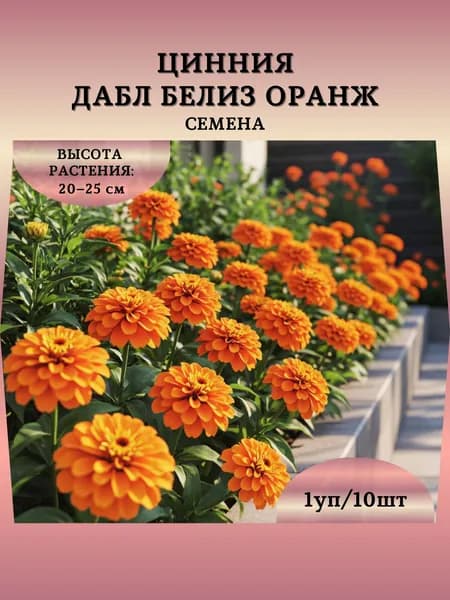 Цинния "Дабл Белиз Оранж" семена, 1 пачка
