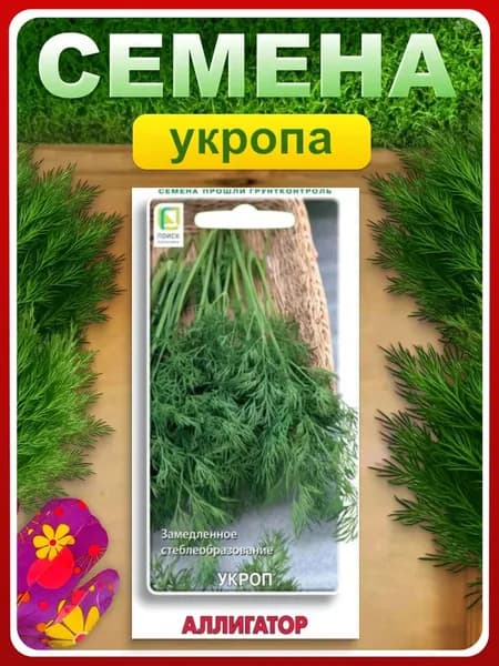 Семена Укроп "Аллигатор", 2 гр, пряности и зелень, для дома, дачи и огорода, в открытый грунт, в контейнер.