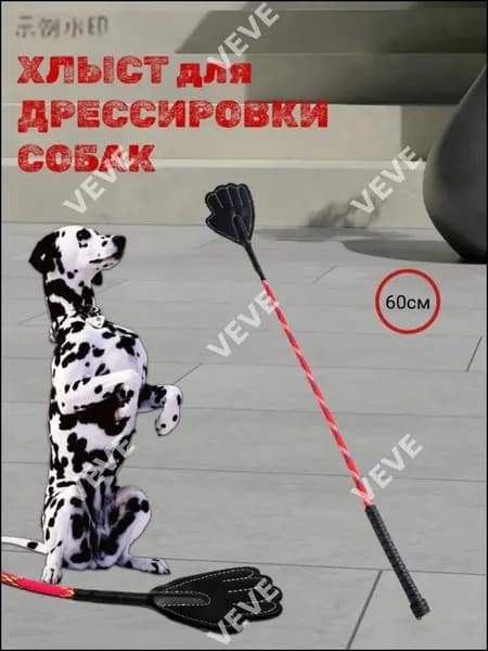 Аксессуары для дрессировки