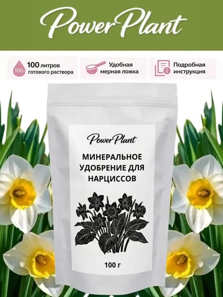 Удобрение для нарциссов, удобрение для луковичных цветов