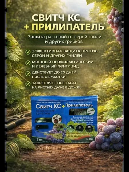 Свитч КС+Прилипатель — фунгицид для защиты растений от гнили