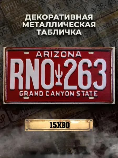 Декоративный номерной знак USA Arizona RNO 263