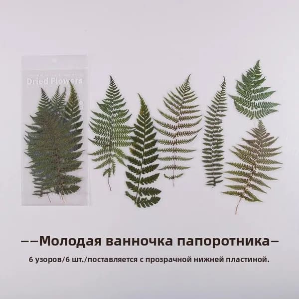 Серия Цветочный магазин на выходных декоративные наклейки для скрапбукинга, лэйблов, дневников, альбомов, канцелярских товаров. Винтажные наклейки с растениями и цветами, аксессуары для творчества