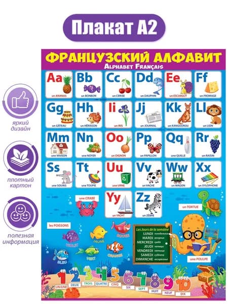 Плакат обучающий "Французский алфавит." в школу, картон , А2, 44х66 см.