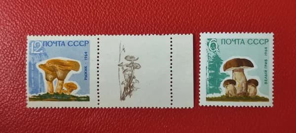 Марки СССР 1964. Грибы: "Рыжики и Белые'. MNH - См фото