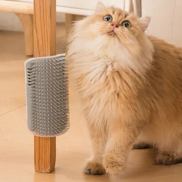 Чесалка для кошек угловая с кошачьей мятой, щетка кошек, массажер животных креплением на стену.